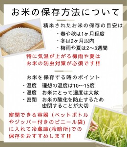 【12回定期便】きぬひかり 5kg 定期便 精米 白米