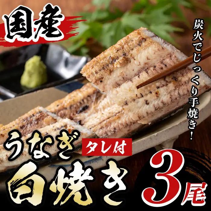 国産！うなぎ白焼き(3尾・タレ付き) 九州産 鰻 ウナギ 無頭 魚 魚介類 しろやき 白焼 かばやき 蒲焼 蒲焼き おかず 特産品 土用 丑の日 お土産 ギフト プレゼント 冷蔵 【尾方屋】_y082