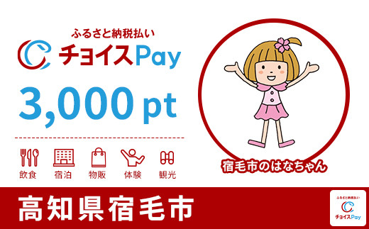 
            宿毛市チョイスPay 3,000pt【会員限定のお礼の品】
          