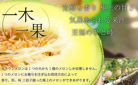 メロン 12ヶ月定期便 中玉 2玉入り 果物 メロン