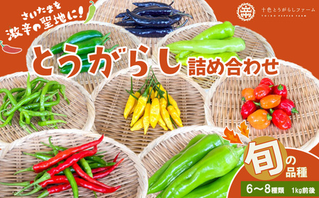 【十色とうがらしファーム】とうがらし＜旬の品種詰合せ＞