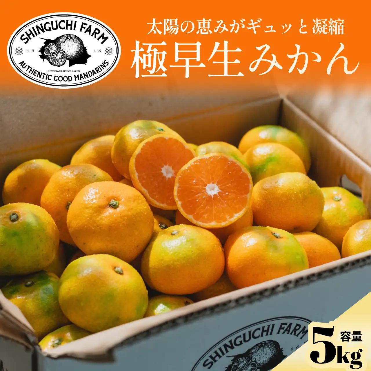 【先行受付】五代目が厳選した【極早生みかん5kg】愛媛県川上産【C70-34】【1536337】 YWTK034