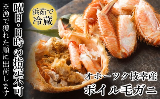 
                  オホーツク枝幸産 マル夢の毛ガニ 約3.6kg 6～8尾【日時・曜日指定不可】【 毛ガニ 蟹 かに カニ 北海道 オホーツク 枝幸 】
                