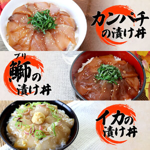 【ふるなび限定】数量限定 これが魚屋の漬け丼だ！海鮮5種食べ比べセット《訳あり》5種×2P+イカの漬け丼1P 合計11パック 各80g マグロ ハマチ 鯛 カンパチ ブリ いか 詰め合わせ 漬け丼 個