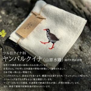 地域の自然を守るタオル やんばるの森を代表する野鳥 3枚セット【1606934】