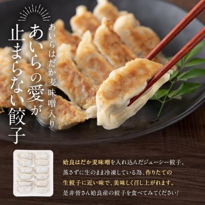 ふるさと納税 姶良市 あいらはだか麦味噌入り冷凍生ぎょうざ「あいらの愛がとまらない餃子」計84個(12個入り×7P) |  | 01