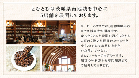 ≪ 熨斗付 ≫ とむとむ 自家焙煎 レギュラーコーヒー 2缶 セット ( 各200g )