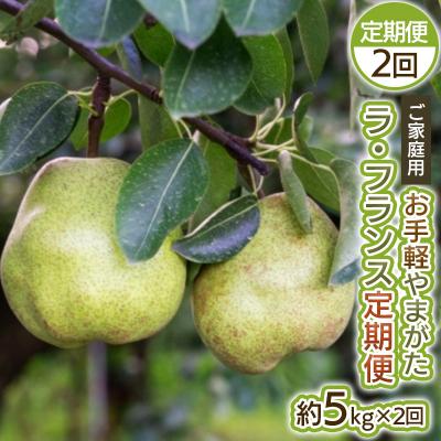 ふるさと納税 山形市 【定期便2回】お手軽 ご家庭用 やまがたラ・フランス 5kg×2回【令和8年産】FS25-751