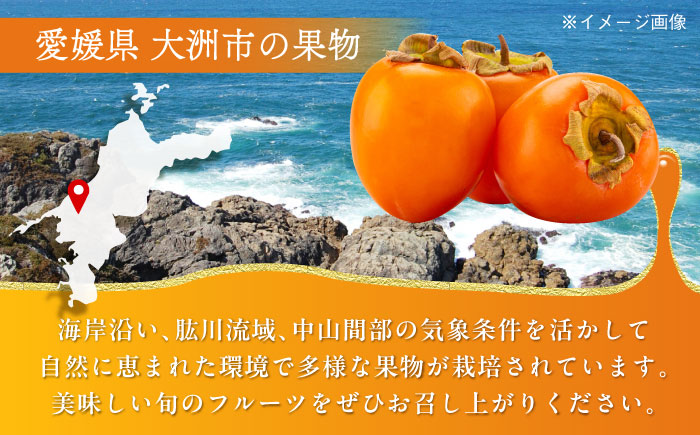 【先行予約】【11月上旬より順次発送】手作り干し柿用 渋柿 あたご柿 M~2L 10kg(約30玉〜45玉)　愛媛県大洲市/沢井青果有限会社 [AGBN022]秋 フルーツ 果物 柿ジャム かき 柿レ