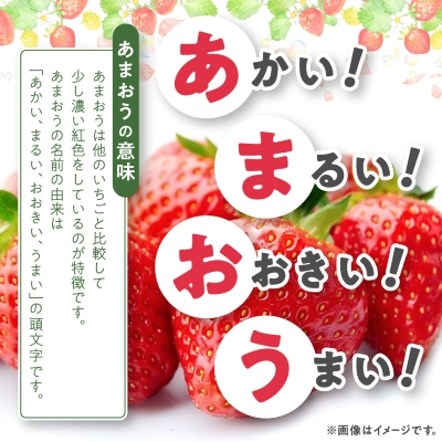 【数量限定】特別栽培あまおう約300g×4パック(約1,200g)【2024年12月より順次発送】【配送不可地域：離島】