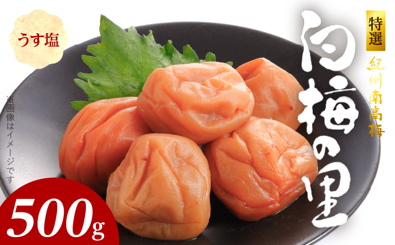 SF1008_特選紀州南高梅「白梅の里」うす塩味　500ｇ