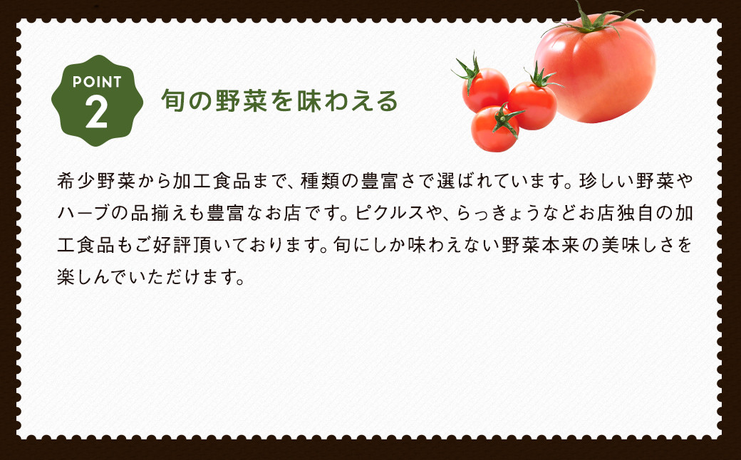 【2022年9月上旬発送開始・3回定期便】阿蘇の伏流水をたっぷり含んだお野菜詰め合わせ 8品～10品