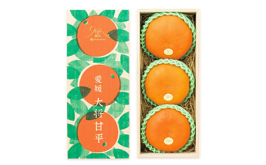 愛媛県産 大将甘平 特秀4Lサイズ900g（3個） 【2026年2月上旬～2月下旬発送予定】（871）