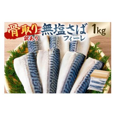 ふるさと納税 南房総市 【訳あり】骨取り無塩さばフィーレ1kg(1kg×1袋)