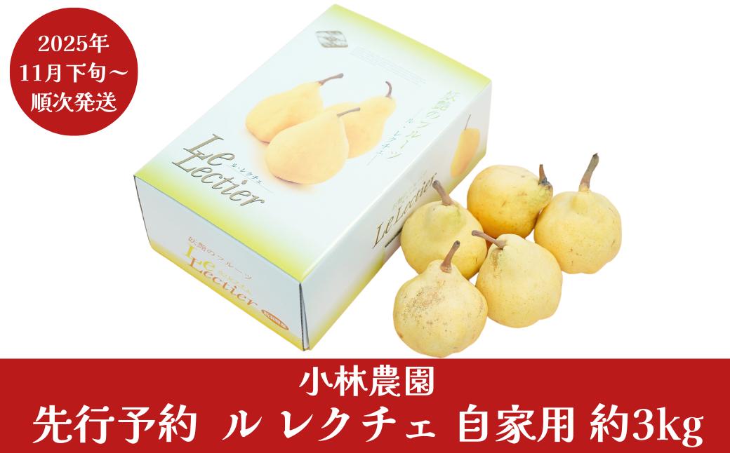 
            先行予約 ル レクチェ 自家用 約3kg [11月下旬から発送予定] 令和7年度 7～12玉 幻の西洋梨 ル・レクチェ 洋梨の貴婦人 新潟県産 洋梨 [小林農園] 【010P076】
          