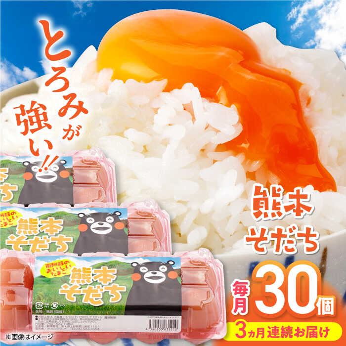 【ふるさと納税】【全3回定期便】熊本そだち 30個入り ( 10個入り × 3パック ) 熊本県産 山都町 たまご 卵 玉子 タマゴ 鶏卵 オムレツ 卵かけご飯 朝食 料理 人気 卵焼き【蘇陽農場】[YBE030]