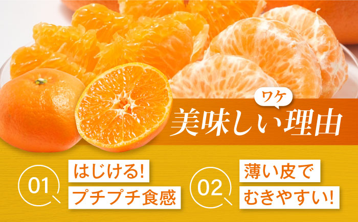 【先行予約】【2026年2月中旬から順次発送】甘平 10個前後【ご家庭用】  愛媛県大洲市/西村農園 みかん ミカン えひめ かんぺい 柑橘 [AGDC004]