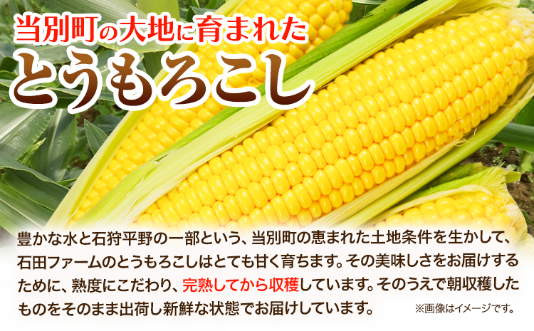 【1.4-218】石田ファーム とうもろこし詰め合わせ20本セット（数量限定）