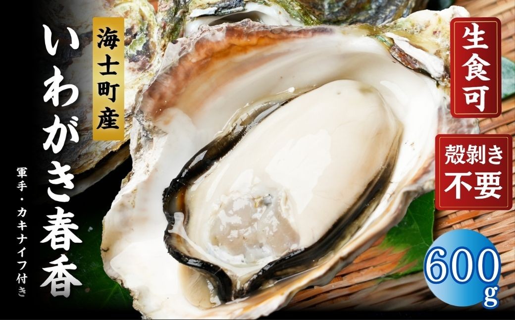 
                  【ブランドいわがき春香/ 殻向き不要】【訳あり】食べごろサイズ 600g 春香 牡蠣ナイフ 説明書付き 牡蠣  いわがき 岩牡蠣 殻付き かき 海鮮 新鮮 冷凍 生食 カキ BBQ 魚介 国産 ふるさと納税 訳あり
                