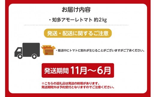 【先行予約】《11月中旬以降発送開始》有機栽培ミニトマト　知多アモーレトマト　約2kg｜知多市 プチトマト  ミニトマト 野菜 トマト 新鮮野菜 太陽の恵み トマト料理 愛知県産  甘いトマト お取り寄せ グルメ アモーレトマト カツオ 昆布 愛 オーガニック フルーツトマト