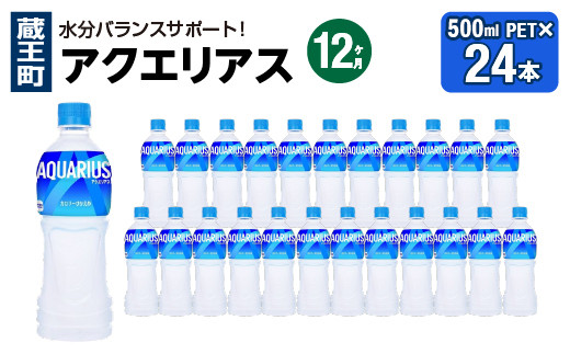 
            【12か月連続お届け】アクエリアス　500ml PET×24本　【04301-0707】
          