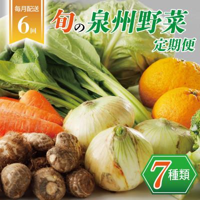 ふるさと納税 泉佐野市 【毎月定期便】旬の泉州野菜 定期便 7種 詰め合わせ 全6回