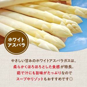 【先行予約】令和8年産 グリーン・ホワイトアスパラセット 1kg（グリーンアスパラ Lサイズ・ホワイトアスパラ 2Lサイズ） アスパラ F4G-0287