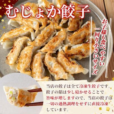 ふるさと納税 霧島市 餃子2種セット(手羽先餃子5個・むじょか餃子 計35個)【MAGONIMO餃子】285-C |  | 03