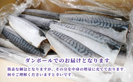 訳あり 塩サバ フィーレ 約3.5kg 冷凍 おかず 惣菜 鯖 さば 魚 海鮮 大容量 銚子 訳あり 大人気サバ 訳あり 人気サバ 訳あり 海鮮サバ 訳あり 冷凍サバ 訳あり 塩 サバ 訳あり 切り身