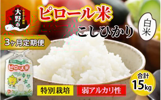 【令和7年産 新米】【3ヶ月定期便】こだわりの米！弱アルカリ性のピロール米 こしひかり 白米 5kg×3回 計15kg