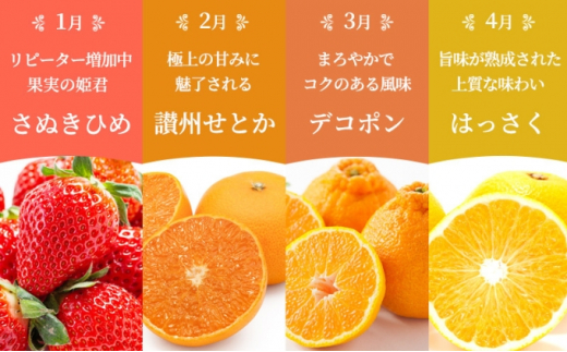 【百果繚乱】 フルーツ 定期便 12ヶ月 城下町の果実 セット 詰め合わせ いちご みかん デコポン はっさく びわ 桃 ピオーネ 梨 シャインマスカット ゴールドキウイ 柿 富有柿 さぬきひめ せと