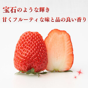 きらぴ香 いちご イチゴ 苺 800g 【 きらぴ香 】