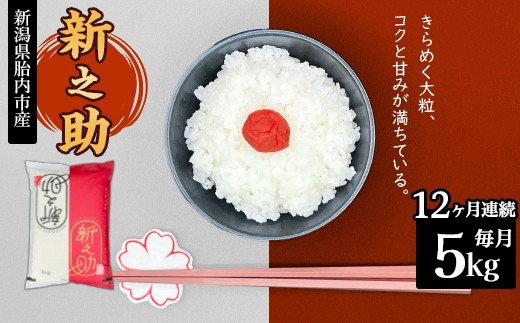 16-S5Z【12ヶ月連続お届け】新潟県胎内市産ちょっと贅沢な新之助5kg