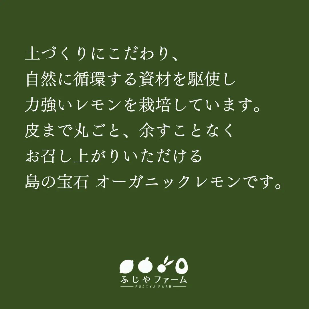 オーガニック 瀬戸内レモン 2kg【2027年 1月 ? 5月 出荷】 先行予約