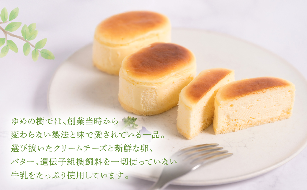 匠チーズケーキ５個入り ケーキ スイーツ 洋菓子 菓子 ゆめの樹 チーズケーキ 半熟チーズケーキ おやつ 洋菓子 焼き菓子 個包装 贈答 ギフト プレゼント 記念日 誕生日 お祝い 贈り物 熊本県 八