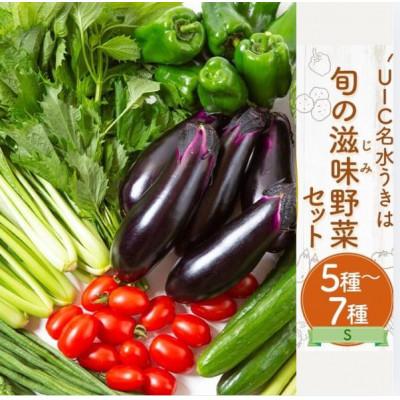 ふるさと納税 うきは市 名水うきは 旬の滋味(じみ)野菜セットS 　U011-1VE-SEUS