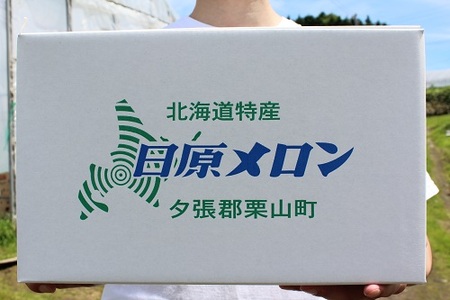極上の一品「日原メロン（レッド種）」（1.7kg相当×6玉）