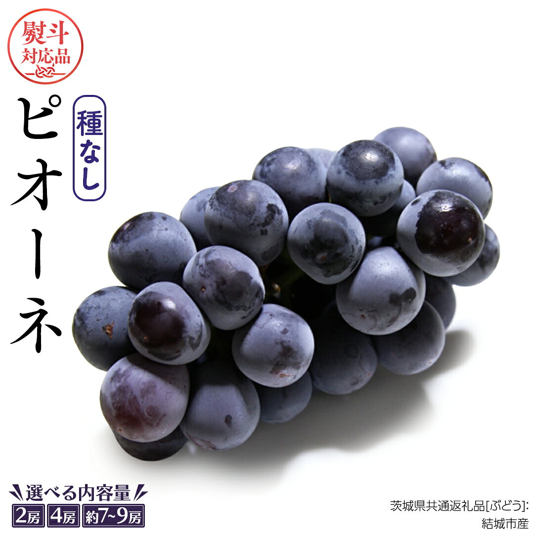 【ふるさと納税】＼ 選べる房数・熨斗対応 ／ ピオーネ 【2026年7月より発送開始】 （茨城県共通返礼品 [ぶどう]：結城市産） 田舎の頑固おやじが厳選！ ぶどう ブドウ 葡萄 大粒 ギフト お中元 甘い フルーツ 美味しい