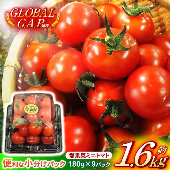 【先行予約※2026年11月より発送】愛果菜ミニトマト9P×1セット / トマト とまと ミニトマト プチトマト 愛果菜 / 諫早市 / 愛菜ファーム株式会社 [AHAK001]