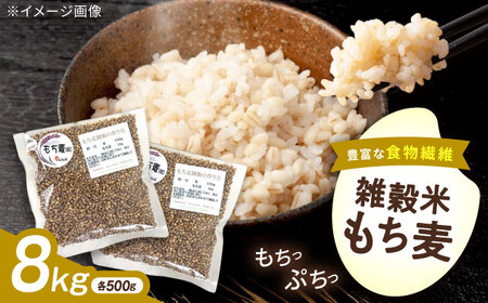 内子町産もち麦8kg BKAD015 もち麦