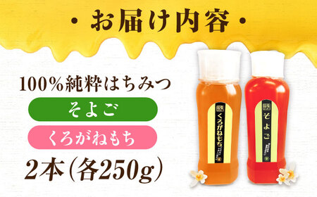 手軽に簡単チューブはちみつ（そよご・くろがねもち）各250g 計2本セット 蜂蜜 ハチミツ お取り寄せ グルメ 三次市/重森養蜂場[APBO014]