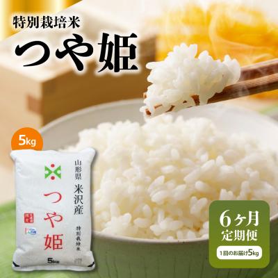 ふるさと納税 米沢市 【6ヶ月定期便】 令和7年産 特別栽培米 つや姫 5kg × 6ヶ月 計30kg