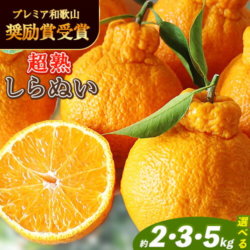 【ふるさと納税】採れたて新鮮 濃厚な甘さ 超完熟しらぬい 選べる 約2kg 3kg 5kg まるまつ農園《2026年3月中旬-4月末頃より出荷》 和歌山県 日高川町 不知火 柑橘 しらぬい 完熟 （ デコポン と同品種）