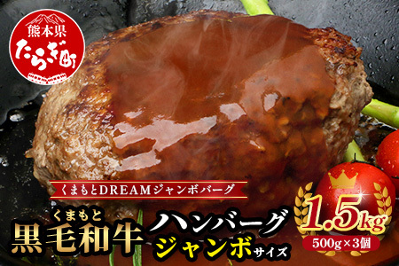 【 年内お届け 】ビッグサイズ！くまもと 黒毛和牛 DREAMジャンボバーグ 500g×3パック 計1.5g 《 牛肉 100％ 国産 大 ボリューム 生 ハンバーグ お祝い パーティ 熊本 ブランド牛 黒毛 和牛 上質 はんばーぐ 惣菜  年内発送 年内配送 年末年始 113-0509-R712