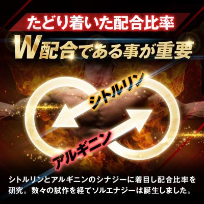ふるさと納税 養老町 シトルリンサプリメント アルギニン 亜鉛 マカ配合 Mr.GINO ソルエナジー 30日(180粒) |  | 02