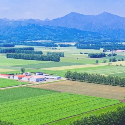 令和6年産 北海道産 ななつぼし 無洗米 10kg (5kg×2)【1529100】