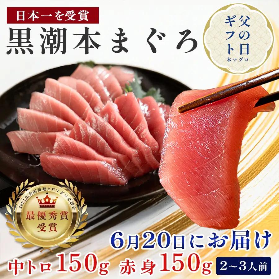 訳あり 不定貫 本マグロ 中トロ･赤身 食べ比べ 日本一 (PT0091_0432)