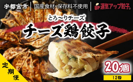 『定期便』宇都宮餃子 運気アップ餃子 チーズ鶏餃子20個　保存料不使用　全12回【配送不可地域：離島】