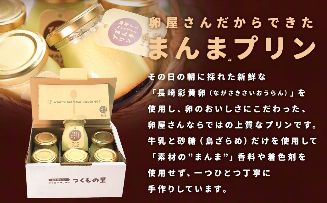 卵屋さんだからできた”まんま”プリン（100g）×6本入りセット