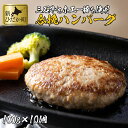 【ふるさと納税】 北海道産 黒毛和牛 みついし牛 ハンバーグ 1kg ( 100g × 10個 ) ブランド ホエー豚 合挽 合い挽き ブランド牛 和牛 牛肉 豚肉 牛 豚 肉 ビーフ ポーク ハンバーグステーキ お惣菜 惣菜 10枚 セット冷凍 北海道 新ひだか町